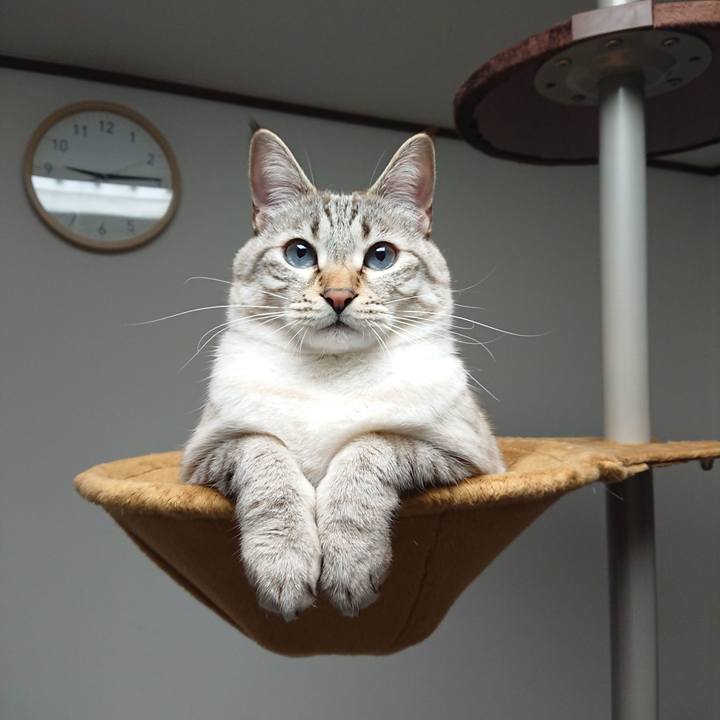 9e9fd2e3 4df3 4d14 b0de b9b6fa4c1779 1521461990431