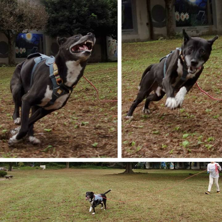 9e9fd534 447c 46c2 858b 9f97017f8375 1729901224569