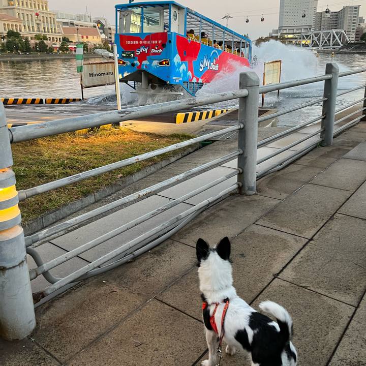 9e9ff194 5a26 4da2 abe0 0af570d88581 1668246394090