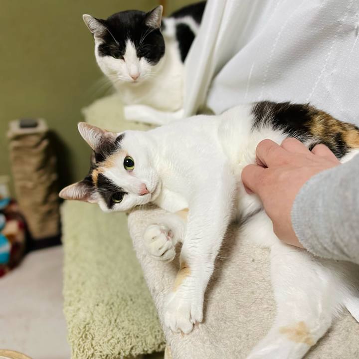 9ea01f03 2788 4c71 a6b6 03603c4d5323 1643161353408