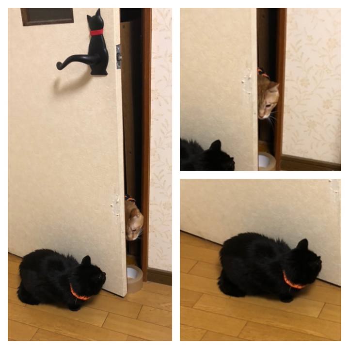 9ea0291c fb60 4907 a07e 0c6ba4e545fa 1571838242442