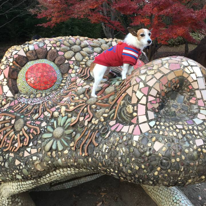 9ea07a81 5cdb 4966 b59f e5b027edeafd 1576399292487