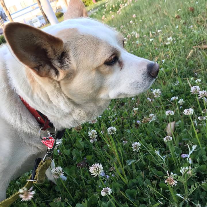 9ea07bfe 8f35 4499 8db6 99f73c987fde 1619933009242