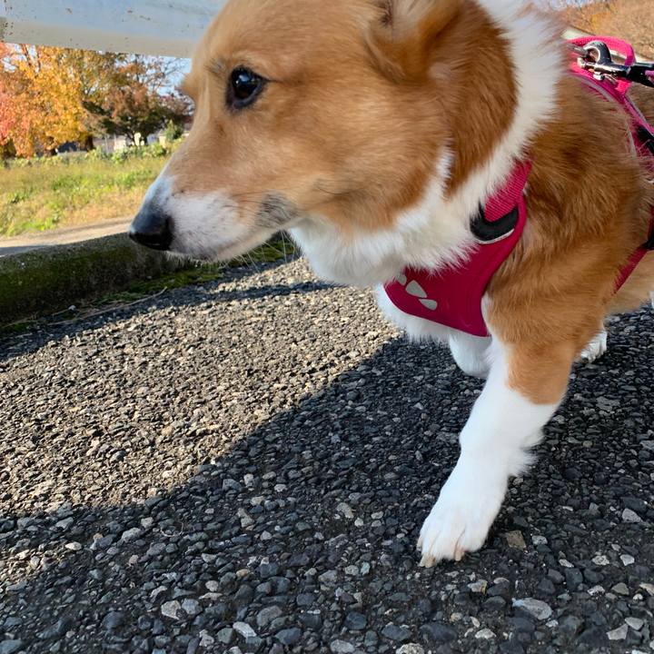 9ea092dd e4a4 4ac9 baff 2d8332bc6322 1701046549528