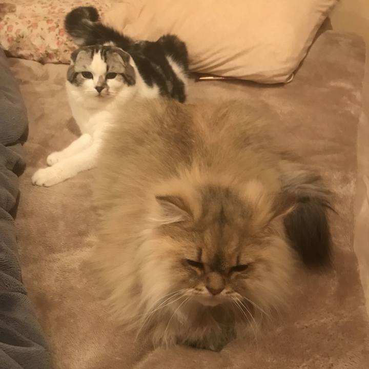 9ea095d2 2759 4950 9ef8 2fcc67ea449a 1644474036985