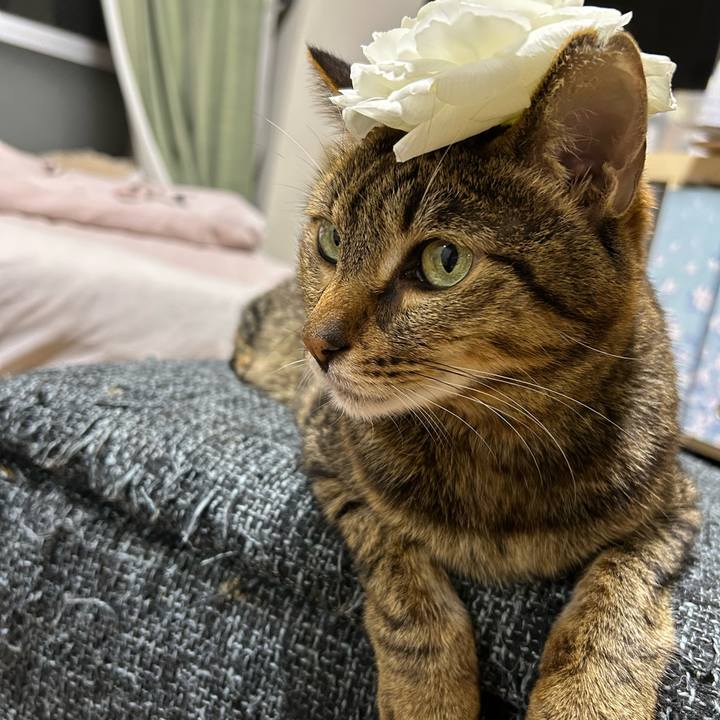 9ea0a197 b857 479c aeb7 52477b667114 1744468307800