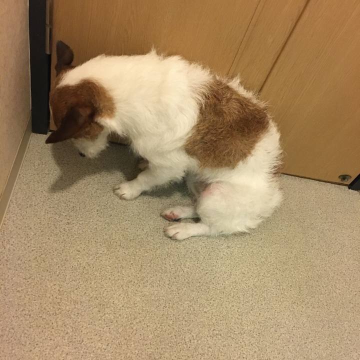 9ea0a4bd db8b 451c 87ae 1e35d8d4f593 1612827459824