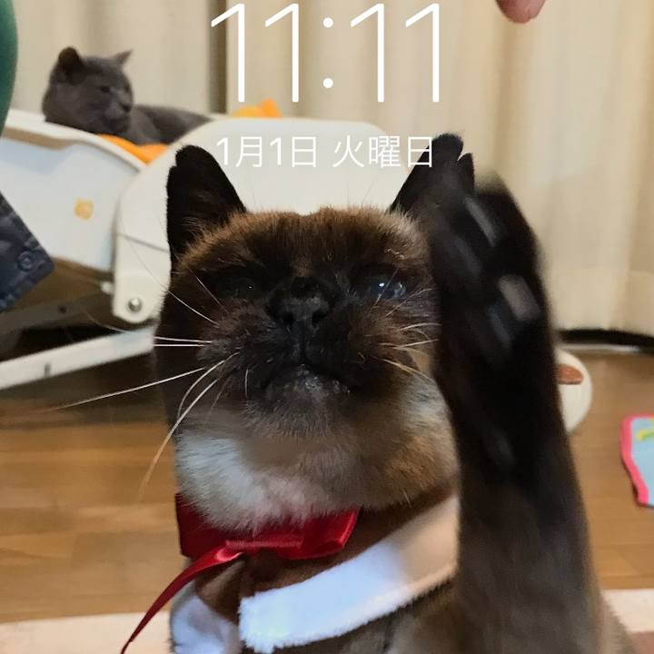 9ea0a7bf adfd 4e0d b64f d53967175d8e 1546352073577