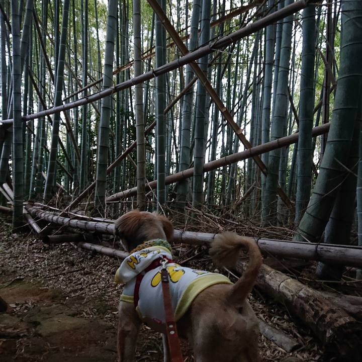 9ea0b308 403b 4084 a571 167f620e36ed 1609504577127