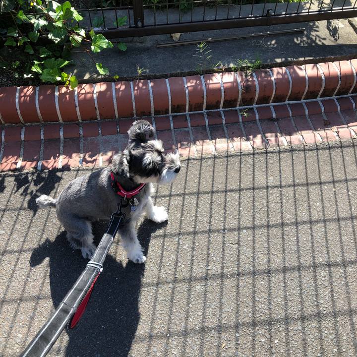 9ea0b471 78b3 4fcf 8cbc 6e13ebc5ffda 1633131228784