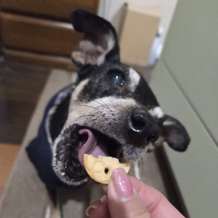 9ea116b3 1701 47d0 b5a4 67a2f16c4012 1774381710343