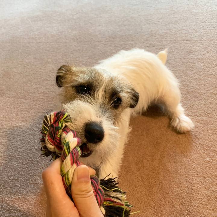 9ea12f8a 9414 460d a139 c07f483acc36 1567144727161