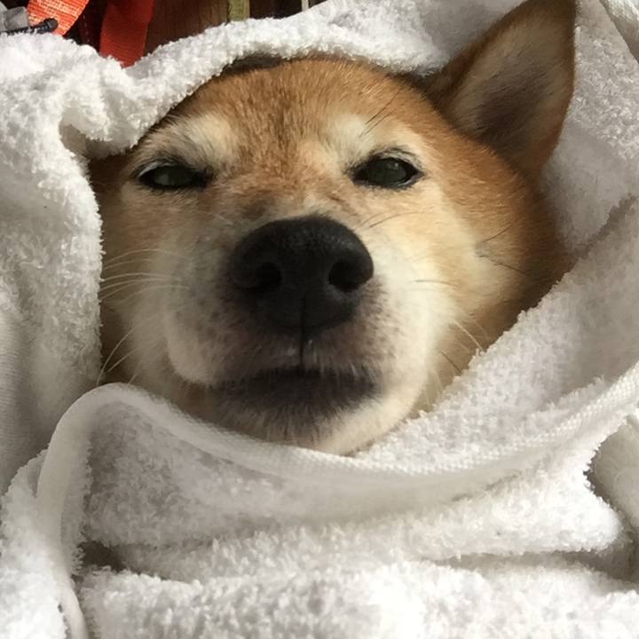 9ea1419a 56cb 4715 a857 47997084def8 1594948464000