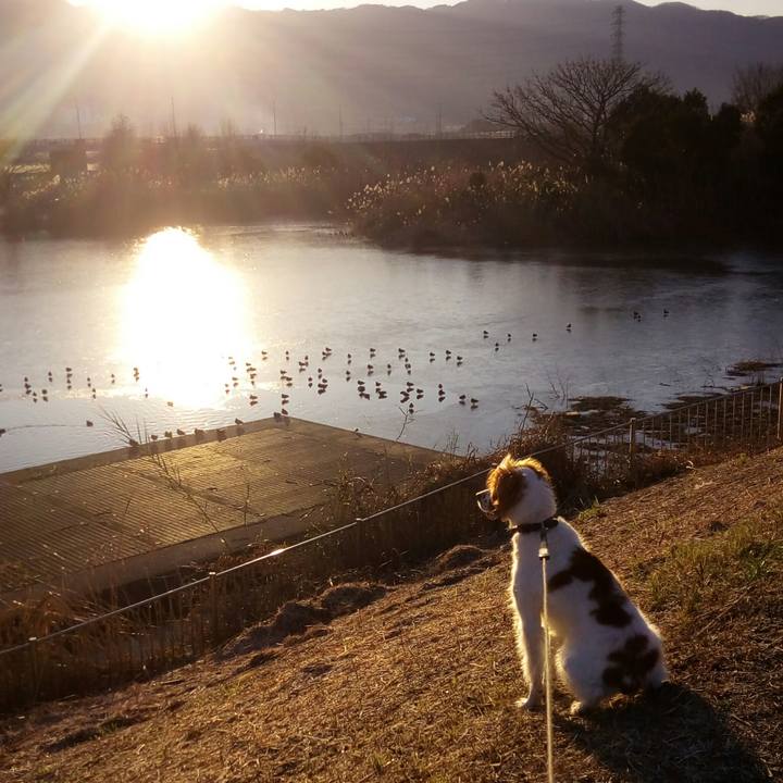 9ea144ed 375c 45b9 ba9a 47b3cf94b8a6 1515806765796