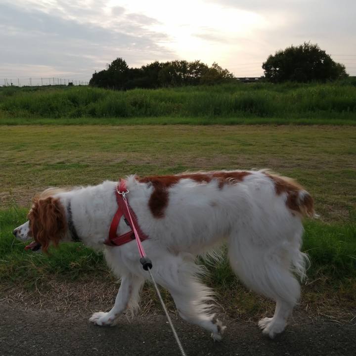 9ea1464e 6fb6 431e bbbd d242131fa652 1600255679811