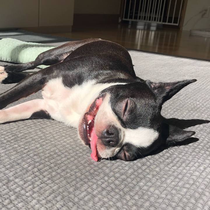 9ea147b4 674d 4185 b750 1cd393dd3360 1565570441484