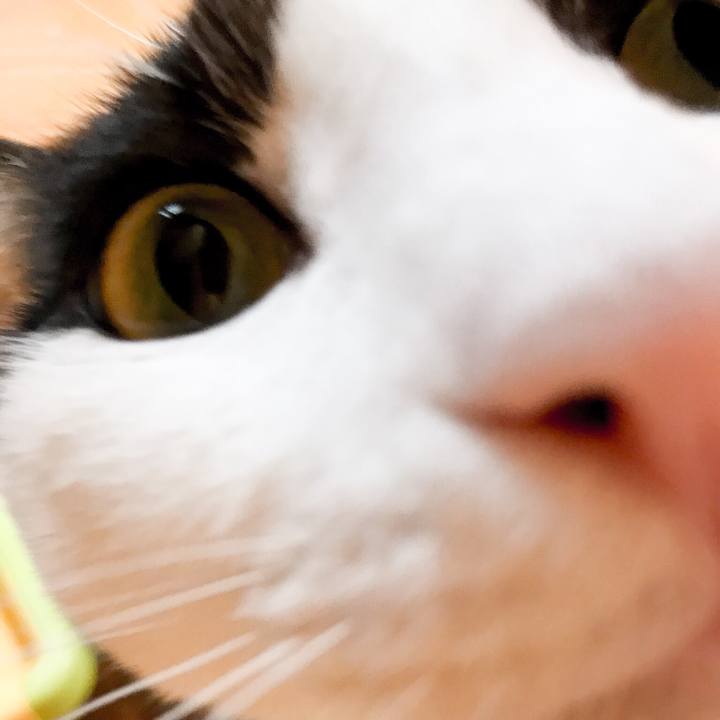 9ea199d7 d7dd 489a 98a4 1011f254e62e 1526690518047