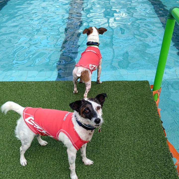 9ea1df45 5f05 4e7a 97a9 4d1bff6a438d 1699187264253