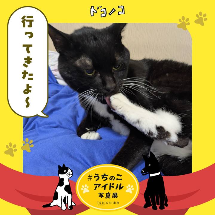 9ea1e892 9d08 472d 823d 373158e371c6 1761692680999