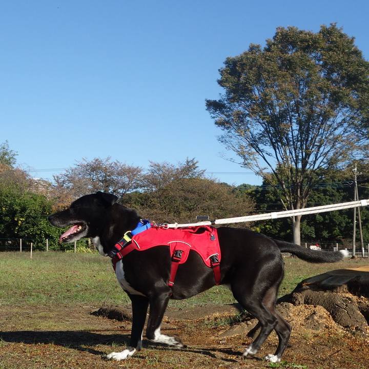 9ea20fbe 64a9 4bcc 89fd af254194afaf 1667177038318