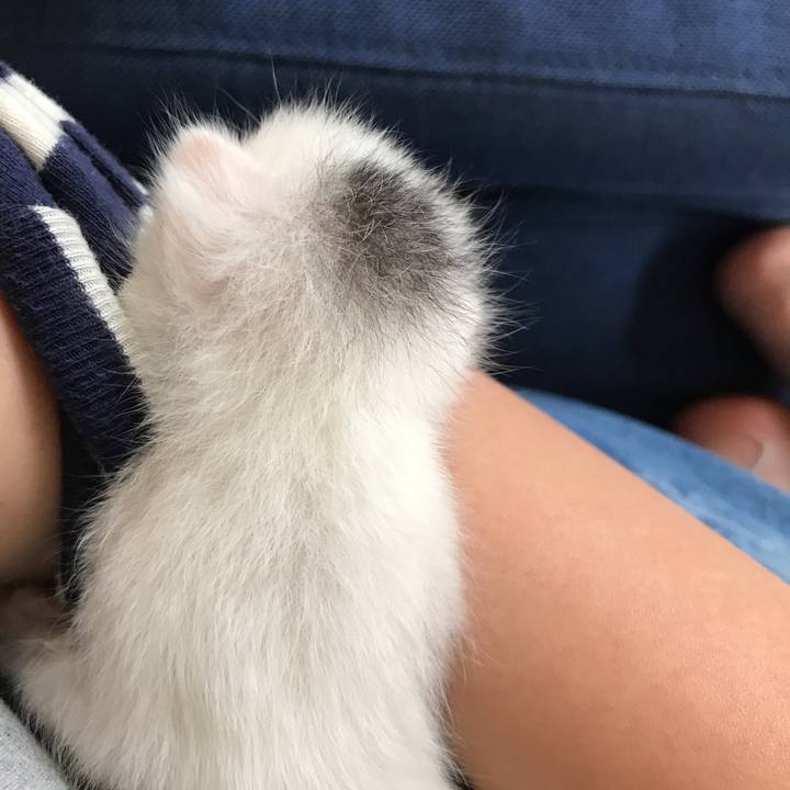 9ea22d61 8d81 4dd9 94e7 c081c6752f48 1589439138289