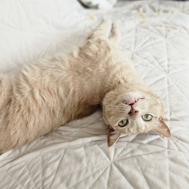 9ea25338 bf74 46c9 8585 729c5d03127a 1694915716305