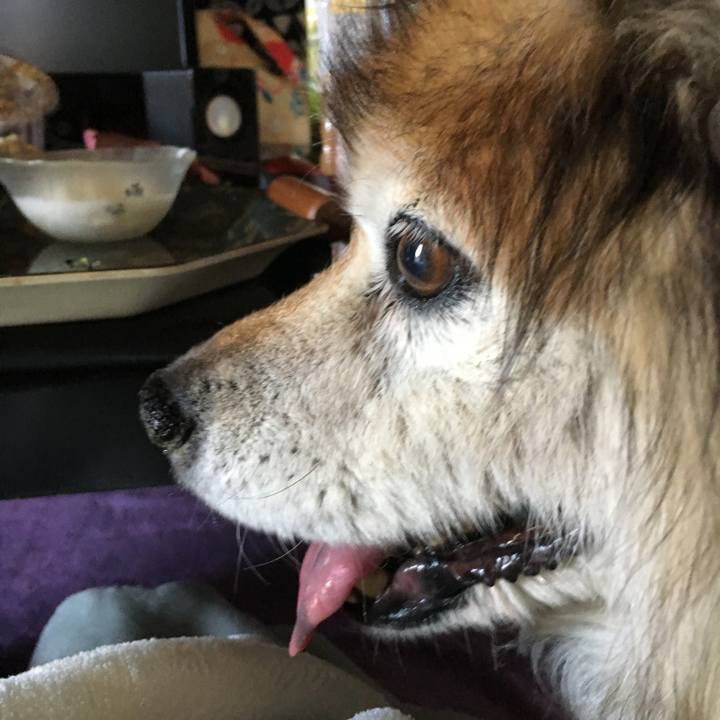 9ea278f8 b129 4a56 8b11 10dadc4b66ed 1596509004266