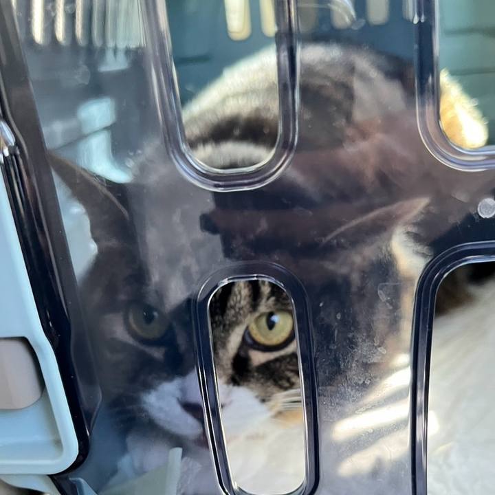 9ea2a129 cbc0 4010 8755 1c5d474d68b9 1776812475303