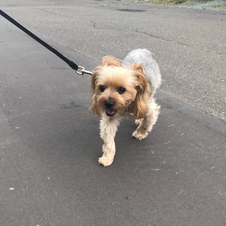 9ea2bfab 148a 4ac3 ac2c 1aed593f5c0c 1721034621515