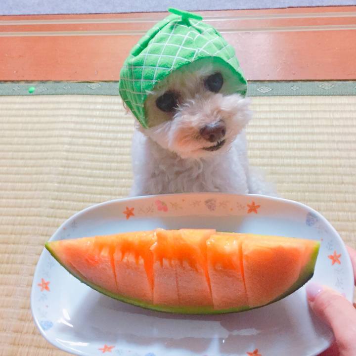 9ea2c9ac 7c62 4058 89f4 cbaff9421541 1533173809425