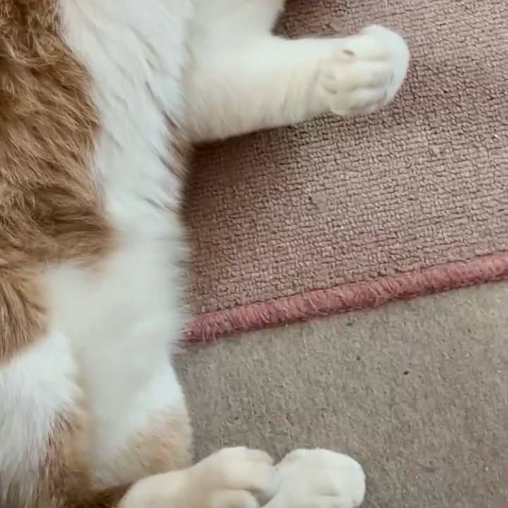 9ea2cf6d f5b6 4bea ad2b c8bb43268198 1744509443383