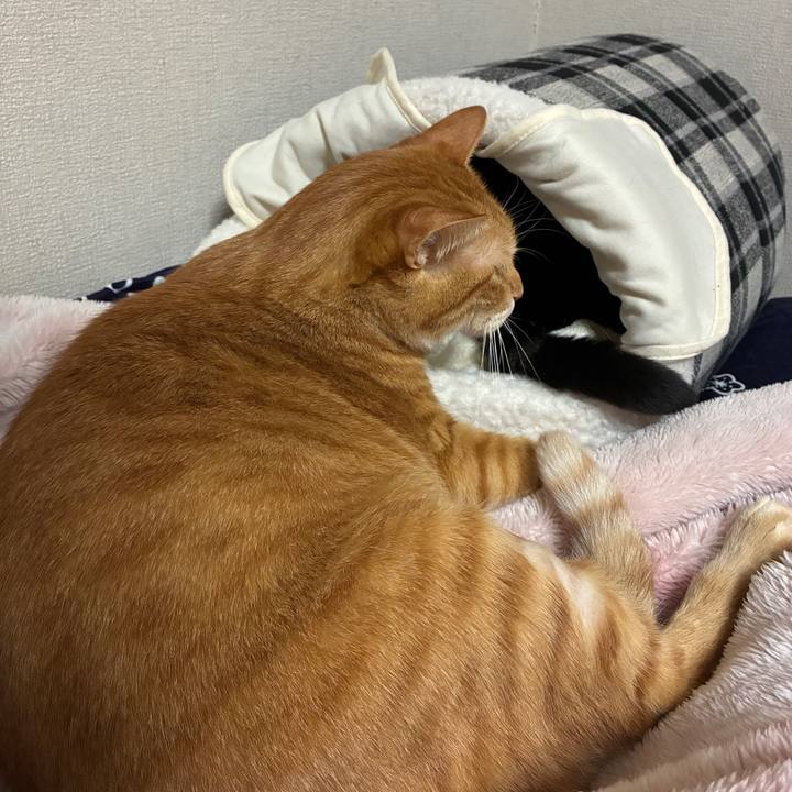 9ea2f5ef 691c 481b 8171 95e138fab324 1762685088630