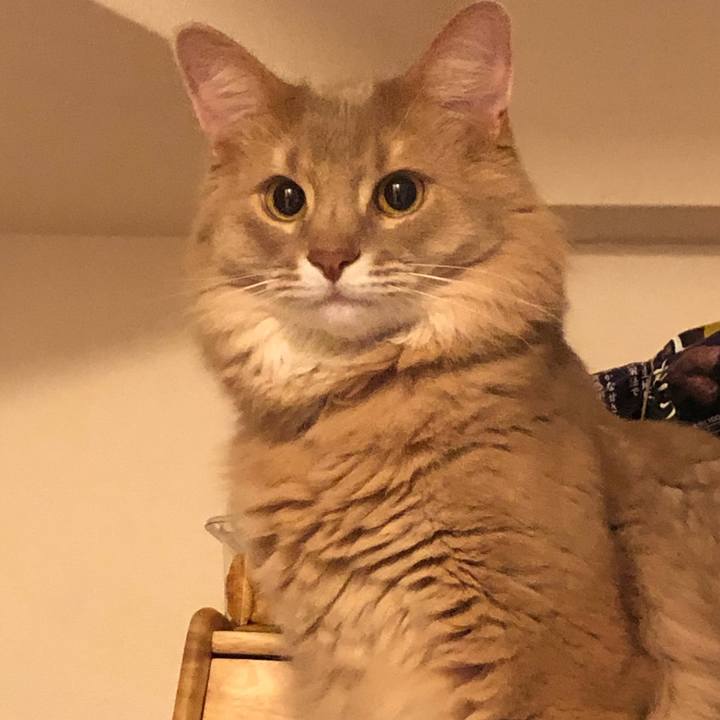 9ea35efb a2c4 42a1 983c e1ead856b0a7 1602683445821