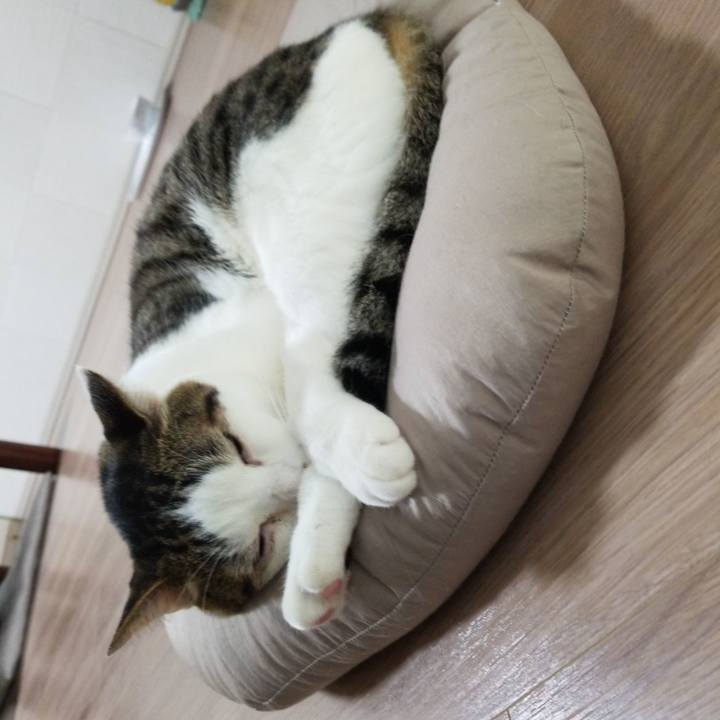 9ea38cae a5b6 4fd0 a933 05b07752cc22 1592775541139