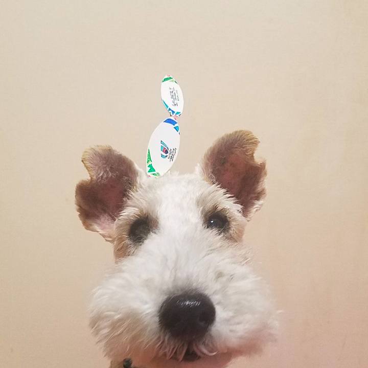 9ea3b40d 7689 4396 bd81 06d78361cd1f 1571564027625