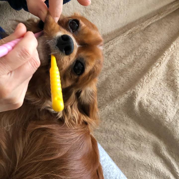 9ea3b767 78a8 4c26 9b98 e404a10bb423 1553552806457