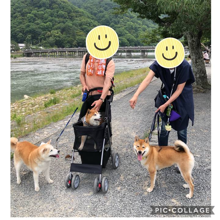 9ea3cb13 619d 4ee6 b6c6 1ae5a105c217 1591527146323