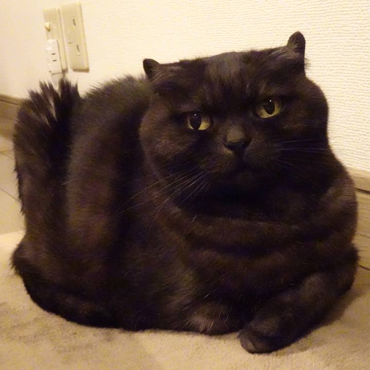 9ea3fc6b 53e3 4265 b1f9 deb0622b1080 1587487588623