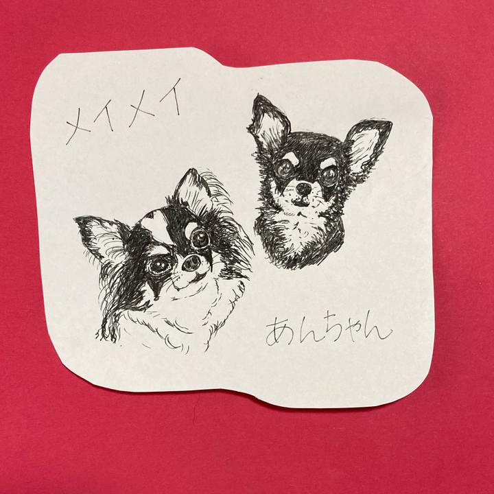 9ea437c2 c5a0 4b65 9999 e64329563196 1618805072058