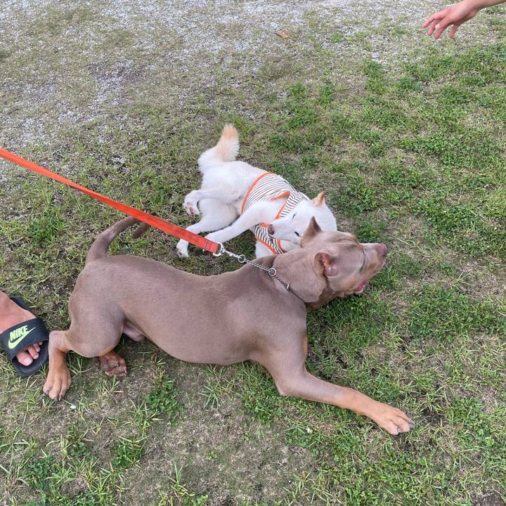 9ea4ac2d df1a 4c99 ae25 f62869fe8479 1655472080599