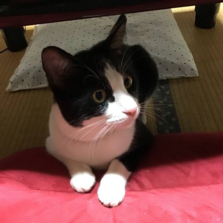 9ea4b93e 2bc8 4039 be59 9847dcfc0c92 1656683062284