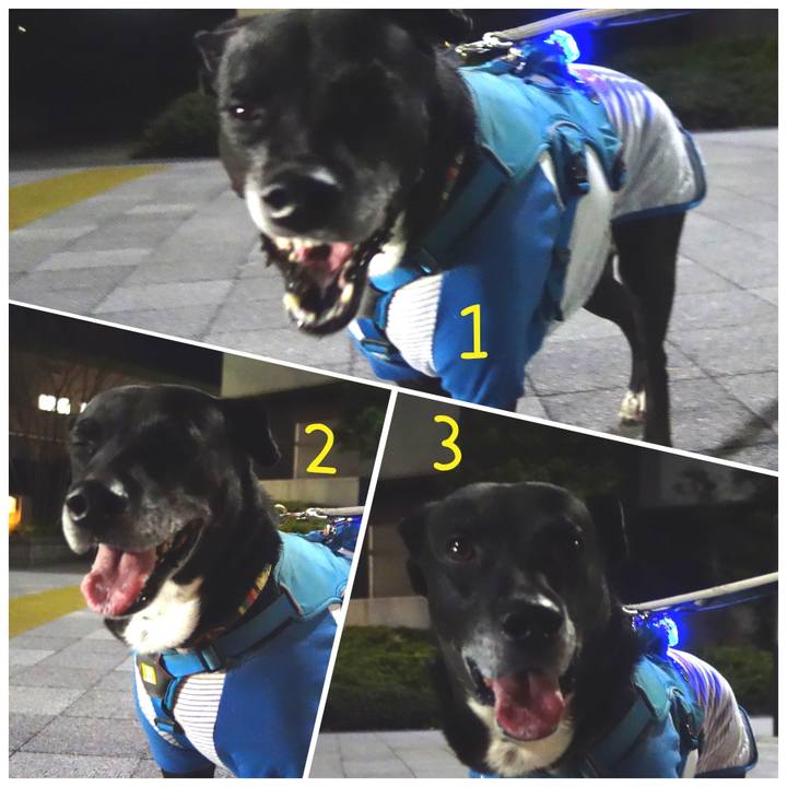 9ea4ef0f 00a8 4cae af34 4fccdfc2447f 1701947472016