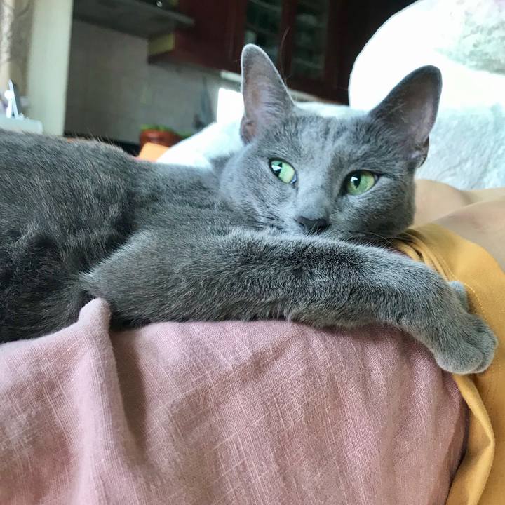 9ea4f716 7ae8 4b09 9402 e1365e912cf2 1624838878423