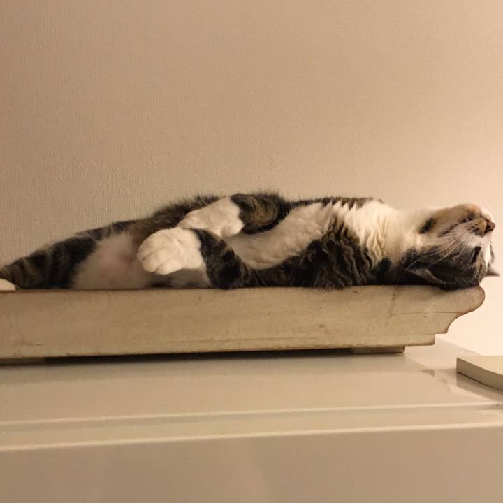 9ea51732 c7c5 4386 9e3b 5b701759c7ff 1520039563072