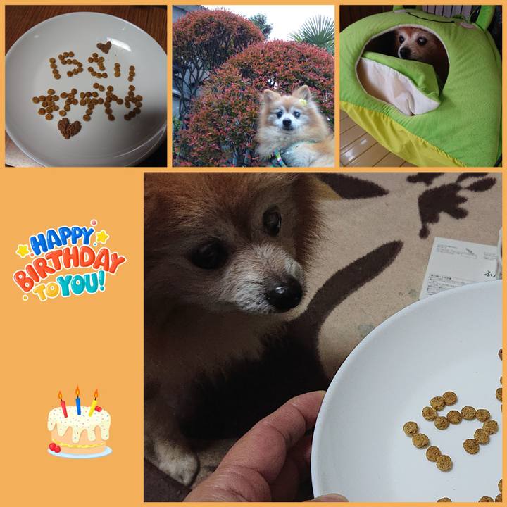 9ea5234a 152d 42c3 95c4 633a06dcf17c 1637273367035