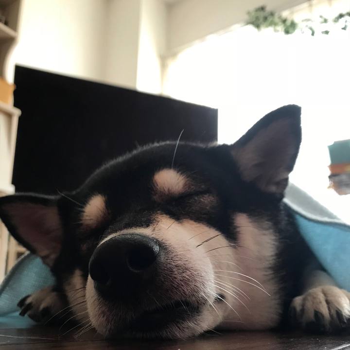 9ea5565a cffb 404e 9876 ddc17e30f8e8 1539060663972