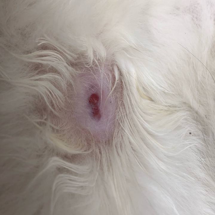 9ea55d09 67ea 4378 b4af a7d6a92ea469 1591248398878