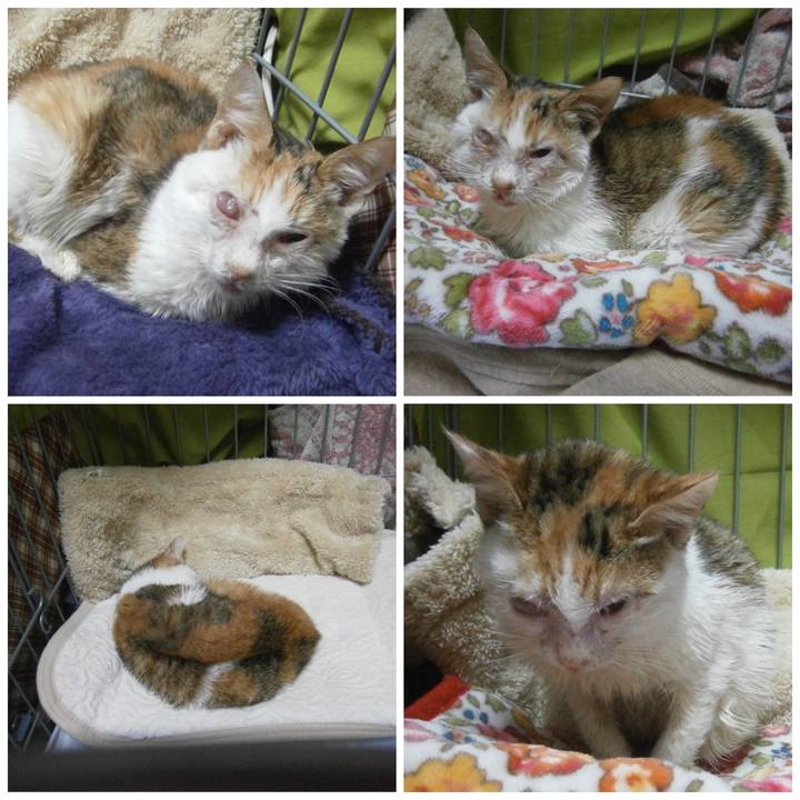 9ea562d8 74e2 4b4e b8d9 8a6895b4ad98 1635057950088