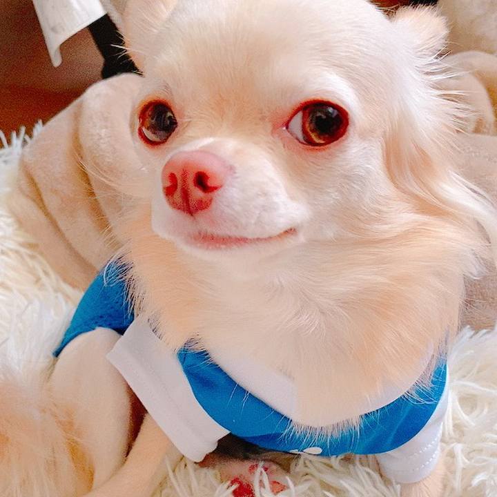 9ea56536 f8f7 4a46 b23e 9f119e9d7918 1627965219992