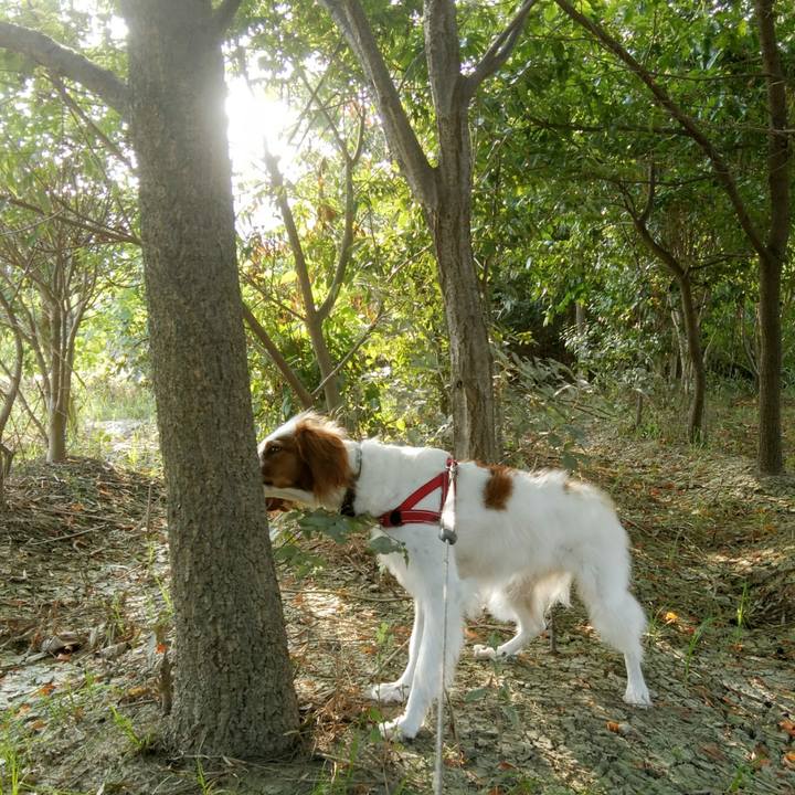 9ea5788a 1a56 4e21 b057 16e13e7ed883 1533625060740